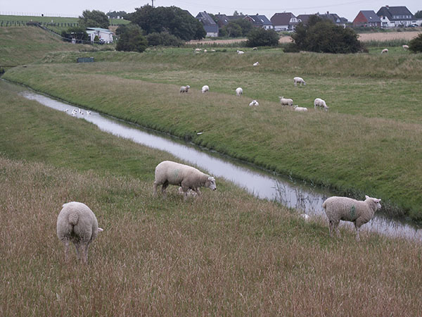 Landschaft